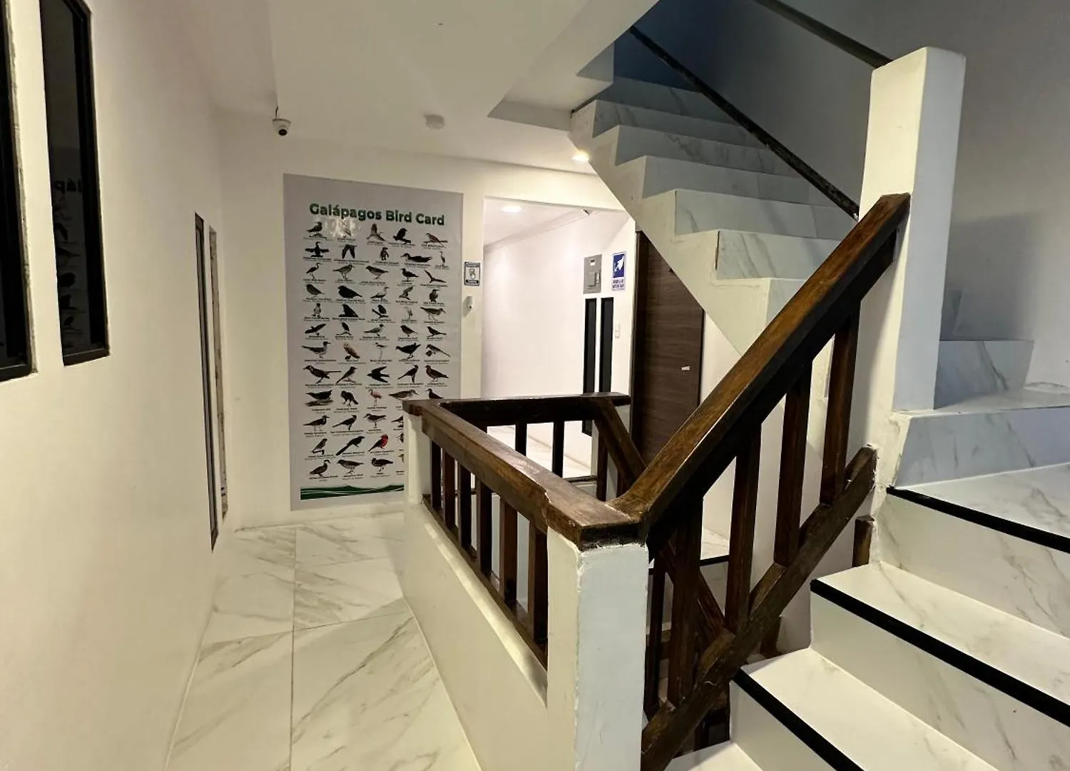 Plaza Lobos Suites San Cristóbal 0*,
